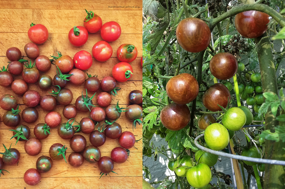 Organics Series Part 1: How To Start An Organic Garden
